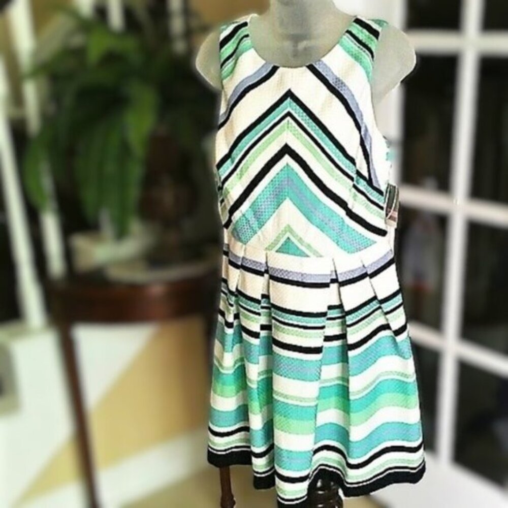Danny & Nicole Skater Dress NWT 10P